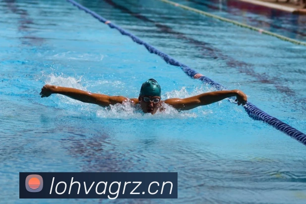 星空体育链接入口平台生态图